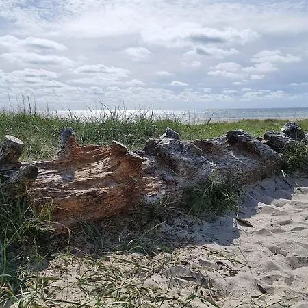 5 Person In Blavand-by Traum بيت للعطل *